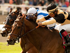 Liberian Freighter  wins the 2011 Inglewood Handicap.