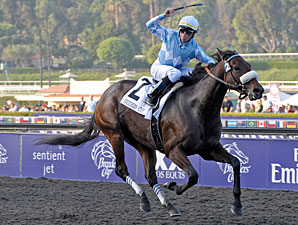 Life Is Sweet wins the 2009 Breeders' Cup Ladies Classic.