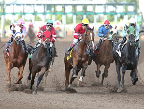 Lil' Apollo wins the 2013 Minnesota Derby.