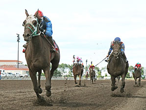 Lil' Apollo wins the 2013 Minnesota Derby.