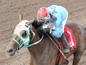 Lil' Apollo wins the 2013 Minnesota Derby.