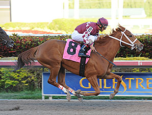 Lil Red Cozette - AOC March 7, 2014 Gulfstream Park.