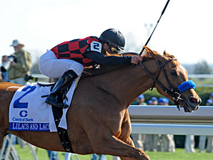 Lilacs and Lace wins the 2011 Ashland.