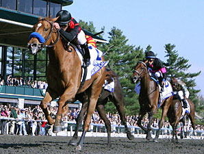 Lilacs and Lace wins the 2011 Ashland.