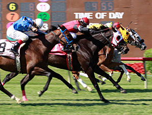 Lillie Abbie wins the 2013 Lane's End Stallion Scholarship Stakes.