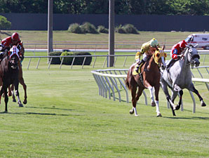 Lillie Abbie wins the 2013 Lane's End Stallion Scholarship Stakes.