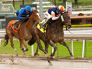 Lindz Winz wins the 2012 Irish O'Brien Stakes.