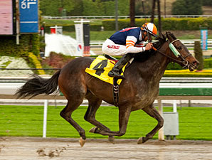 Lindz Winz wins the 2012 Irish O'Brien Stakes.