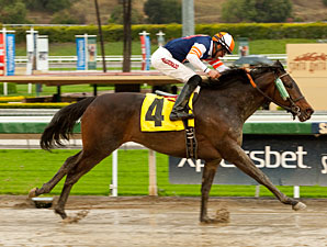 Lindz Winz wins the 2012 Irish O'Brien Stakes.