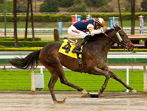 Lindz Winz wins the 2012 Irish O'Brien Stakes.