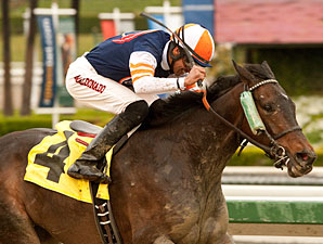 Lindz Winz wins the 2012 Irish O'Brien Stakes.