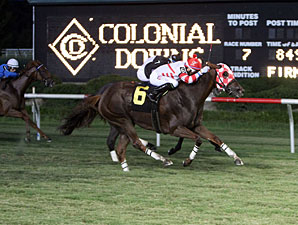 Lion Down by Me wins the 2013 Oakley Stakes.