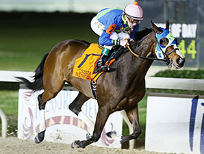 Little Face wins the 2014 LA-Bred Premier Night Ladies Starter.
