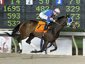 Little Face wins the 2014 LA-Bred Premier Night Ladies Starter.