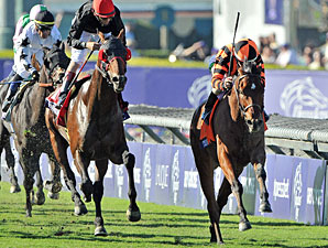 Little Mike wins the Breeders' Cup Turf.
