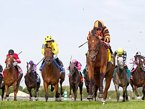 Little Mike wins the 2012 Arlington Million.