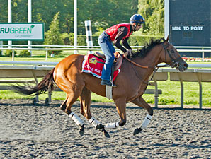 Little Mike - Arlington Park, August 17, 2012.