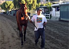 Little Mike at Santa Anita