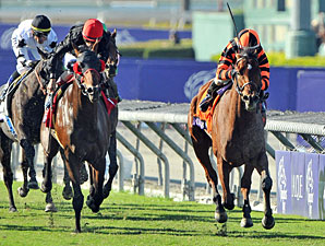 Little Mike wins the 2012 Breeders' Cup Turf.