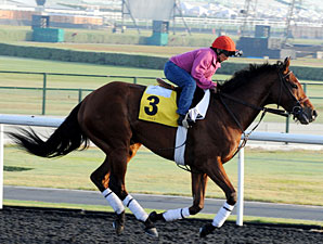 Little Mike - Dubai, March 28, 2013.