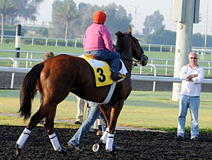 Little Mike - Dubai, March 28, 2013.