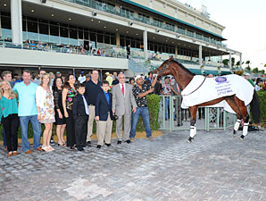 Little Mike paraded at Gulfstream Park on December 1, 2012.