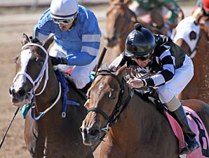 Little Miss Flurry wins the 2013 Lady Razorback Futurity.