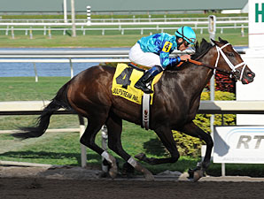 Live Lively wins the 2013 Davona Dale.