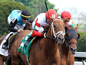 Lonesome Street wins the 2012 Commonwealth Stakes.
