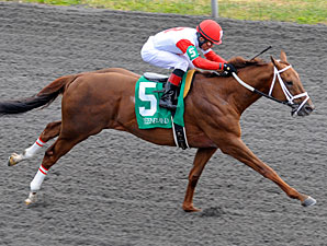 Lonesome Street wins the 2012 Commonwealth Stakes.