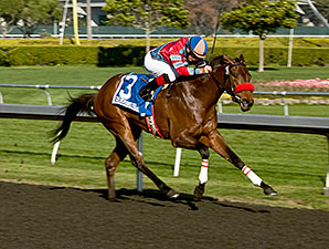 Look Quickly wins the 2013 Golden Gate Debutante Stakes.