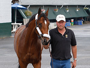 Lookin At Lucky arrives at Monmouth Park on July 29, 2010.