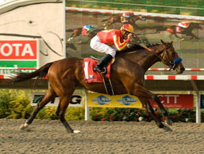 Lookin At Lucky Quick Learner in DM Futurity