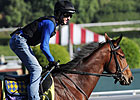 Juvenile: Lookin At Lucky 8-5 From Post 13