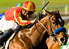 'Lookin at' the Derby Winner?