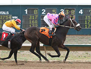 Lookingoodinatux wins the 2013 Silver Cup Futurity.