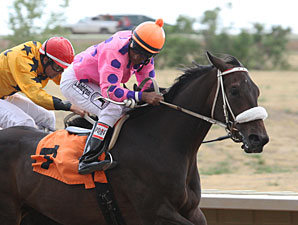 Lookingoodinatux wins the 2013 Silver Cup Futurity.