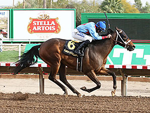 Lotsa Mischief wins the 2014 Turf Paradise Derby.