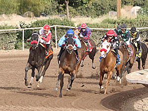 Lotsa Mischief wins the 2014 Turf Paradise Derby.