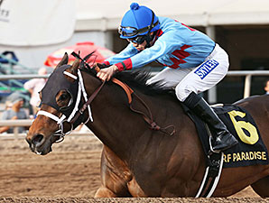 Lotsa Mischief wins the 2014 Turf Paradise Derby.
