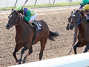Louisiana Glory wins the 2013 Louisiana Cup Sprint Stakes.