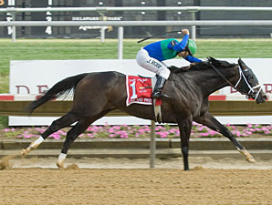 Love and Pride wins the 2012 Obeah.