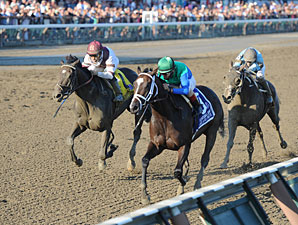 Love and Pride wins the 2012 Personal Ensign.