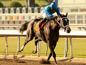 Love and Pride wins the 2012 Zenyatta.