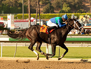 Love and Pride wins the 2012 Zenyatta.