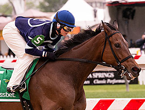 Love Heart wins the 2014 Kattegat’s Pride Starter Handicap.
