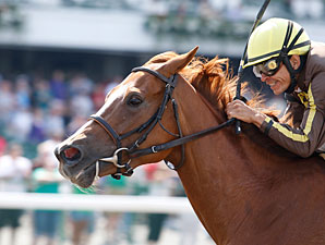 Love That Dance wins the 2011 Open Mind.