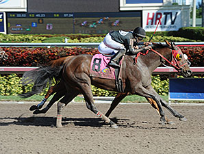 Loverbil wins the 2014 Express Stakes.