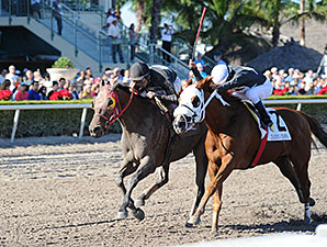 Loverbil wins the 2014 Express Stakes.