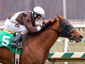 Love's Reason wins the 2010 Juvenile Filly Championship.